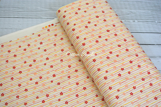 Iroha Komon Stripe and Sakura Kimono Cream Cosmo