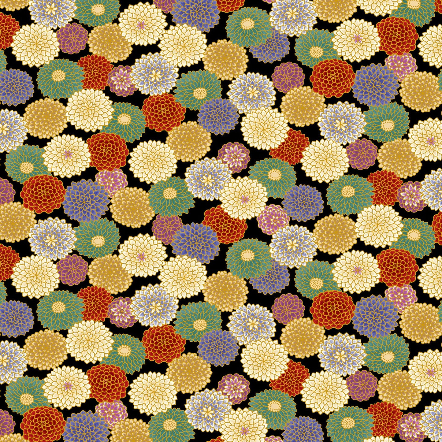 Colorful Chrysanthemum on Black with Metallic Gold Cosmo