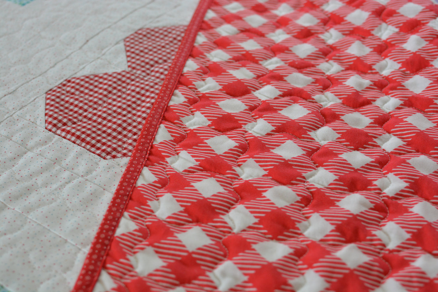 Wide Back Bee Ginghams Cayenne By Lori Holt Riley Blake 108" Wide Quilt Back Fabric