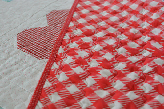 Wide Back Bee Ginghams Cayenne By Lori Holt Riley Blake 108" Wide Quilt Back Fabric