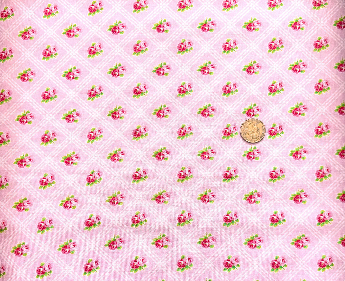 Freckles & Lollie Masie's Garden Floral Trellis Pink Rose fabric