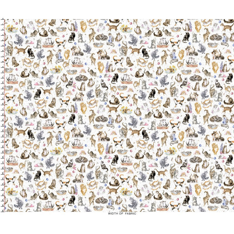 Whiskers & Paws by Hannah Dale Directional - Cats White