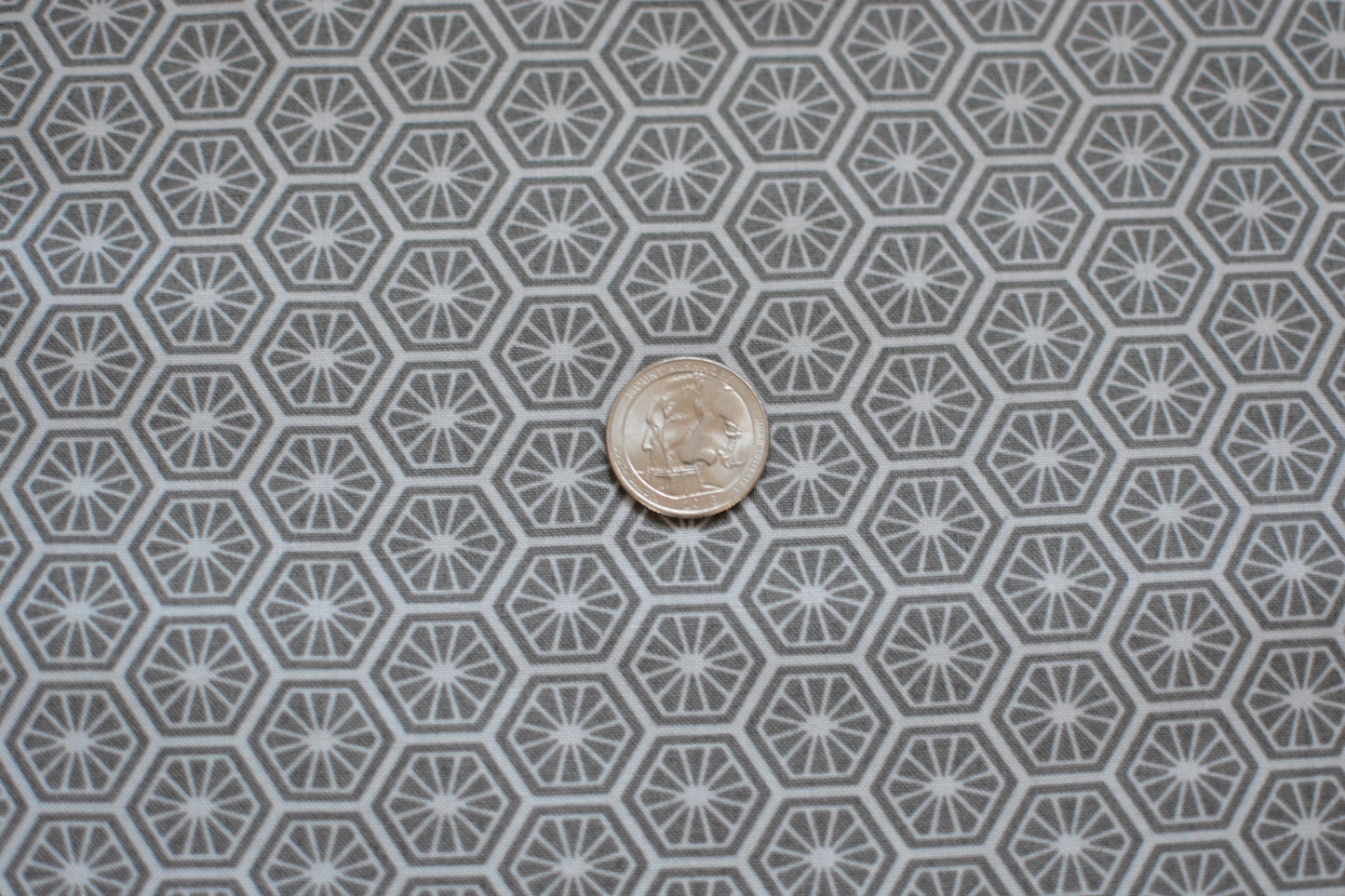 Turtle Bay Maywood Studio Turtle Shells 9528K