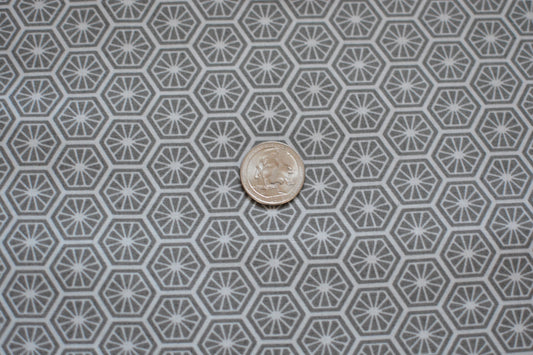 Turtle Bay Maywood Studio Turtle Shells 9528K