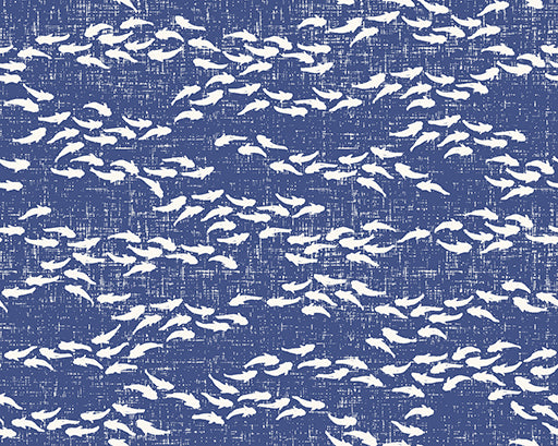 Paintbrush Studio Fabrics By The Sea - Fishy Fishy - Blue