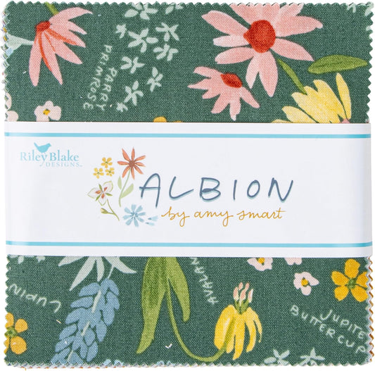 Albion 5" Stacker by Amy Smart Riley Blake