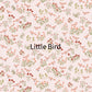 Checkerboard Pre-Cut Baby Girl Quilt Kit